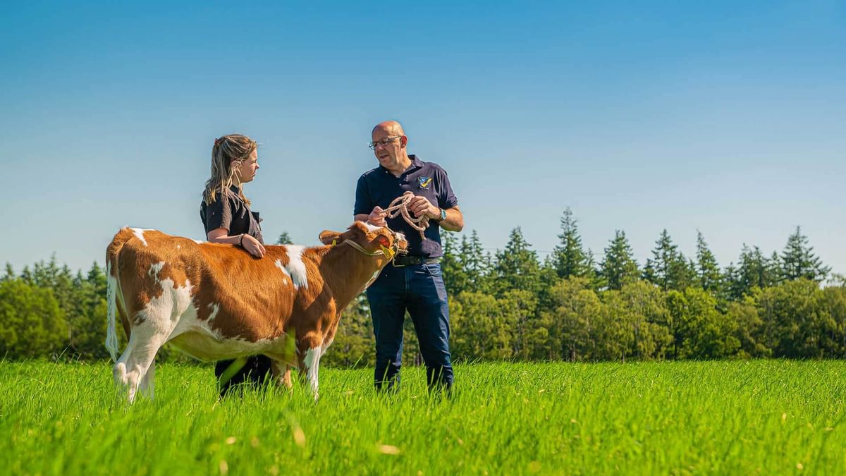 Quality Calf 11 Jurgen Boerin kalf weiland