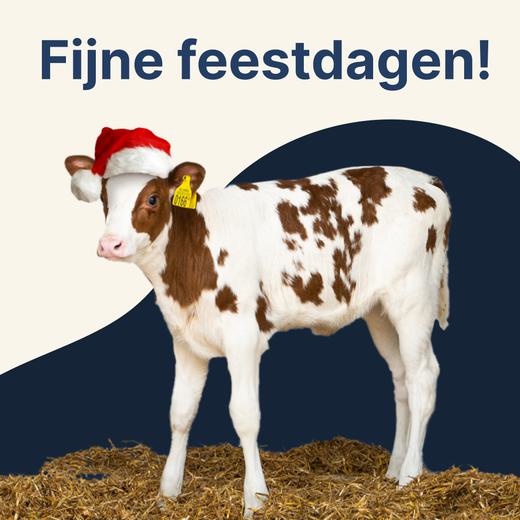 Fijne feestdagen!