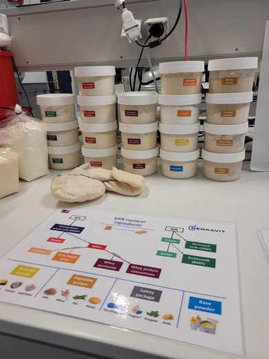 Nieuwe White melkpoeder