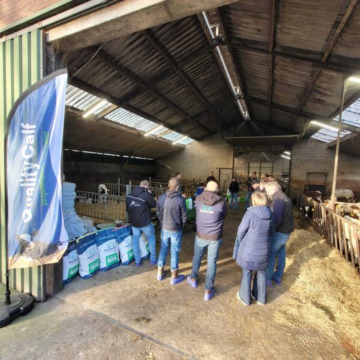 Jongvee-innovatiedagen