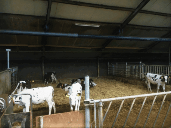 Buisventilatie