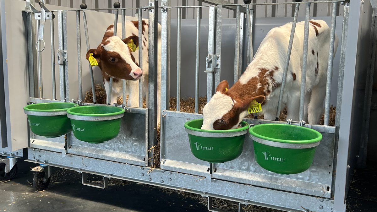 Processed F5 E5 D6 FF 5 D16 4431 9335 8 AC1 BAE93406