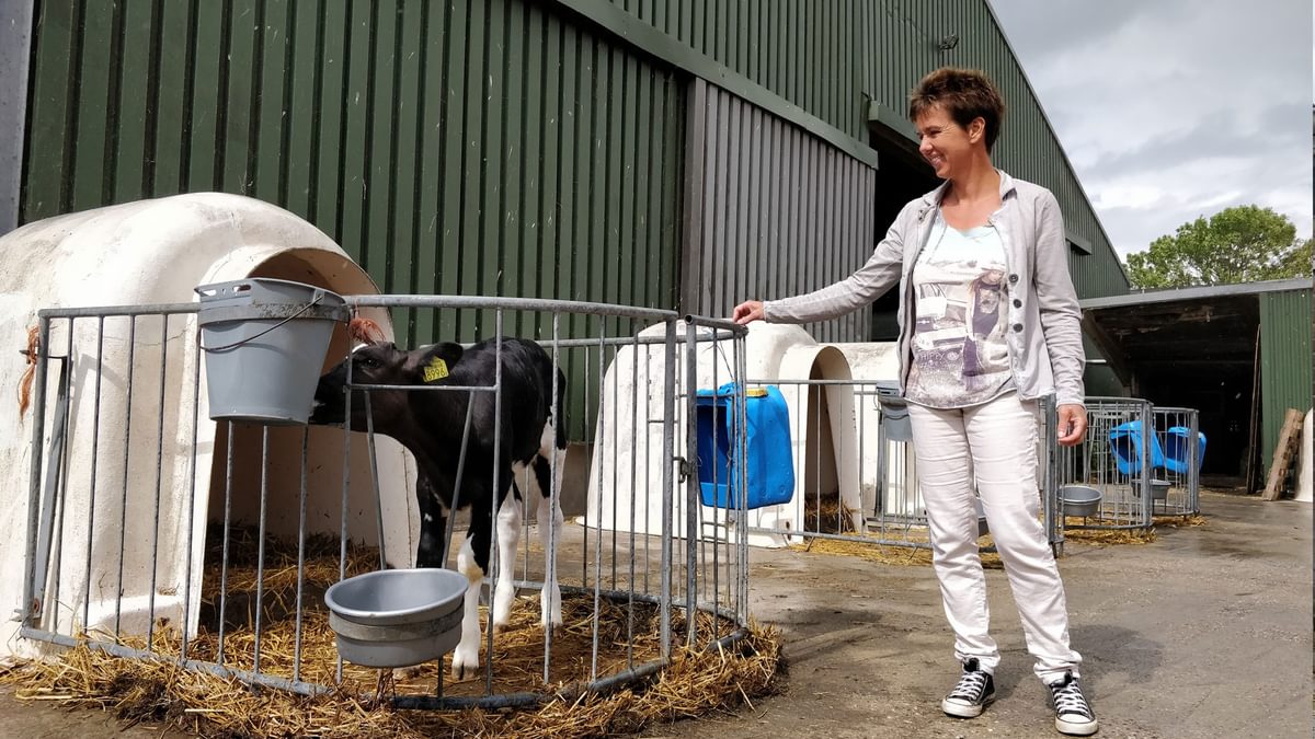Referentie quality calf gerda van der schaaf